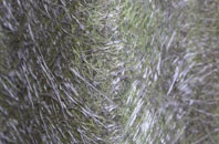 Red Street fibreglass roof work